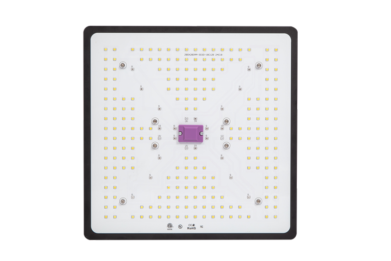 TOPLED-Series