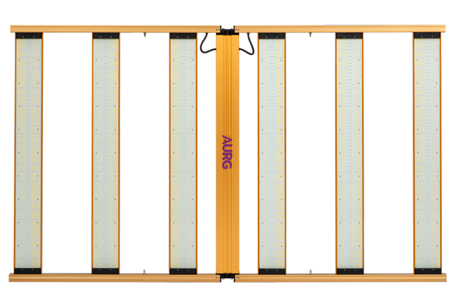 PRO-SP-1200