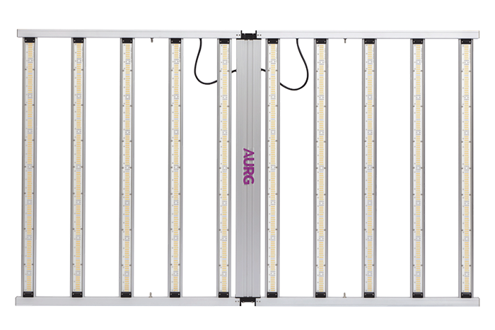 MAX-SS-1000
