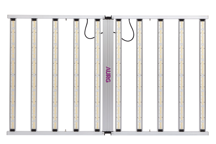 MAX-ZP-1100