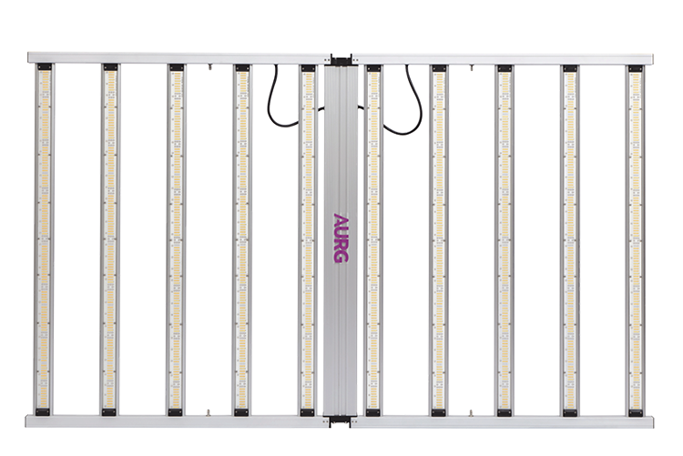MAX-BT-1200