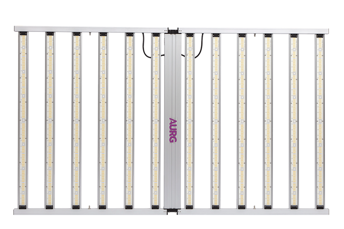 DVZ-SS-1200