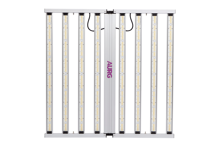AX-SS-800