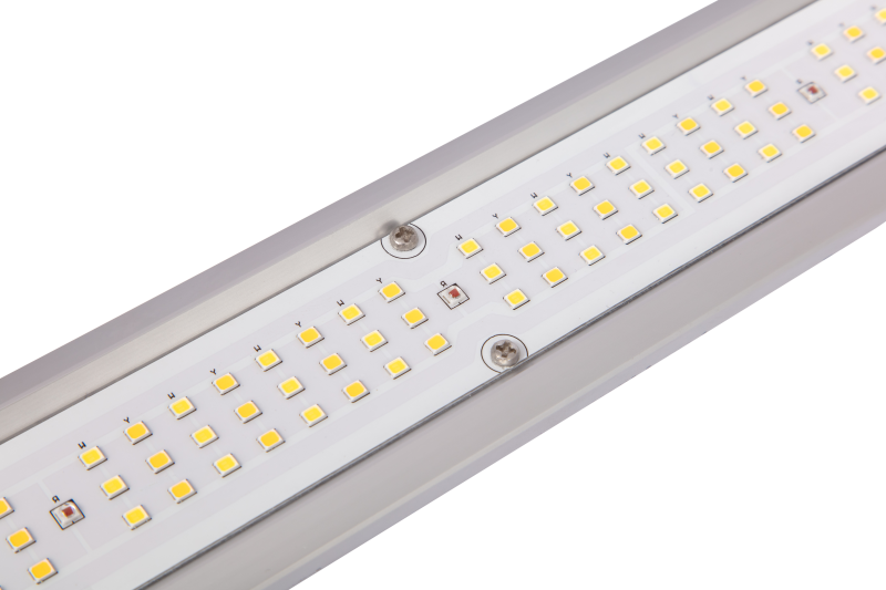 AG-800