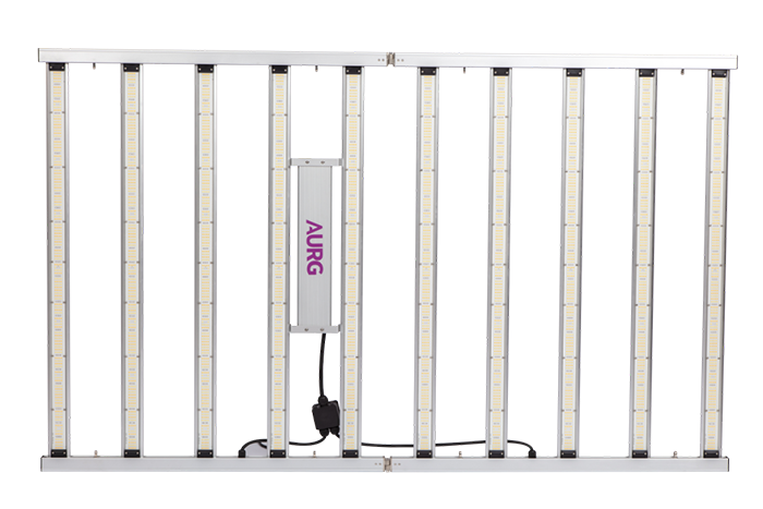 AG-1000