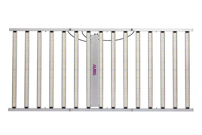 MAL-ZP-1600