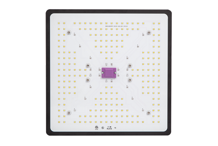 TOPLED-100W-BF