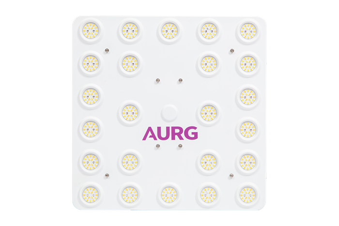 TOPLED-100W-F