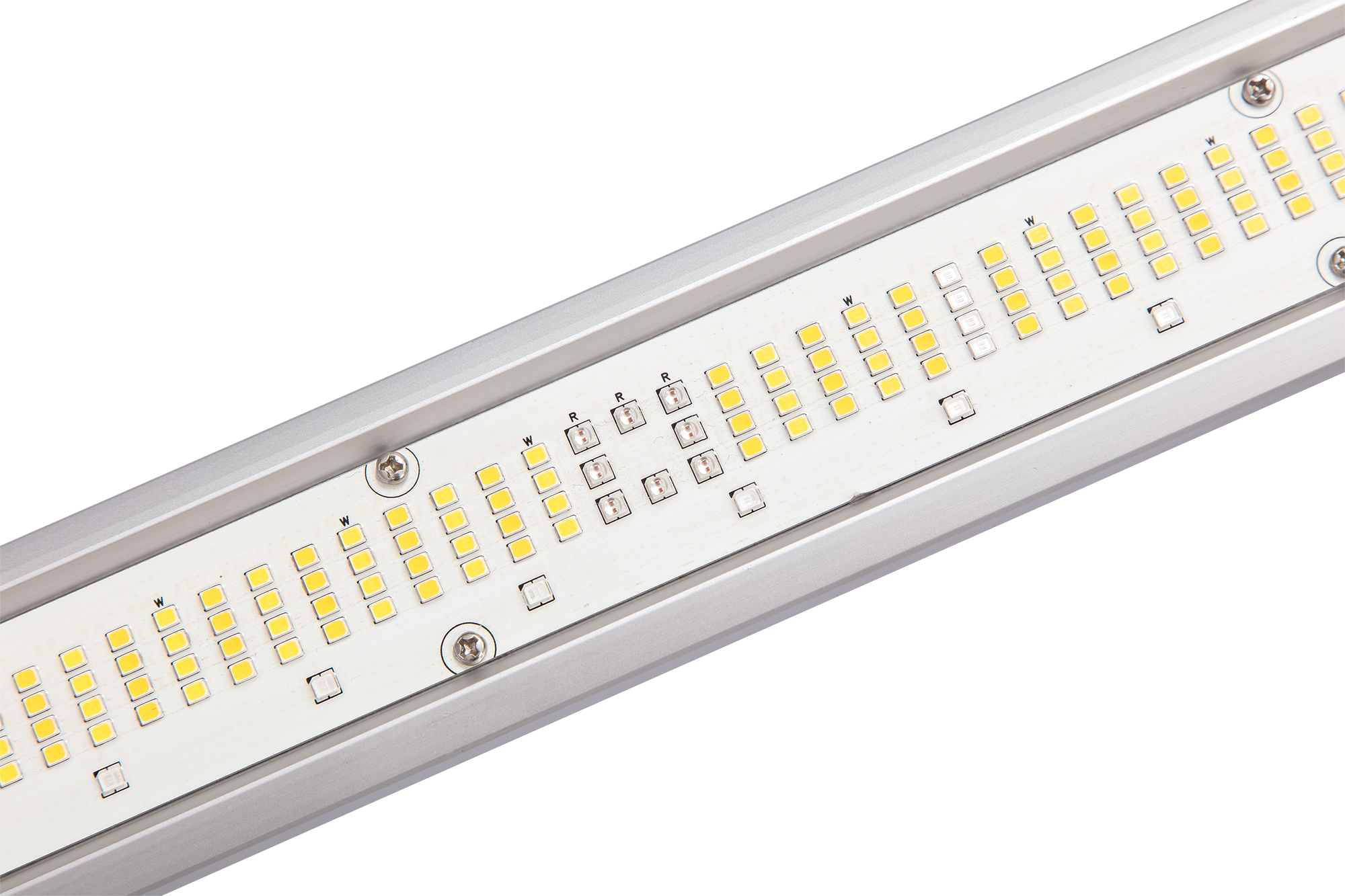 MAL-ZP-1600