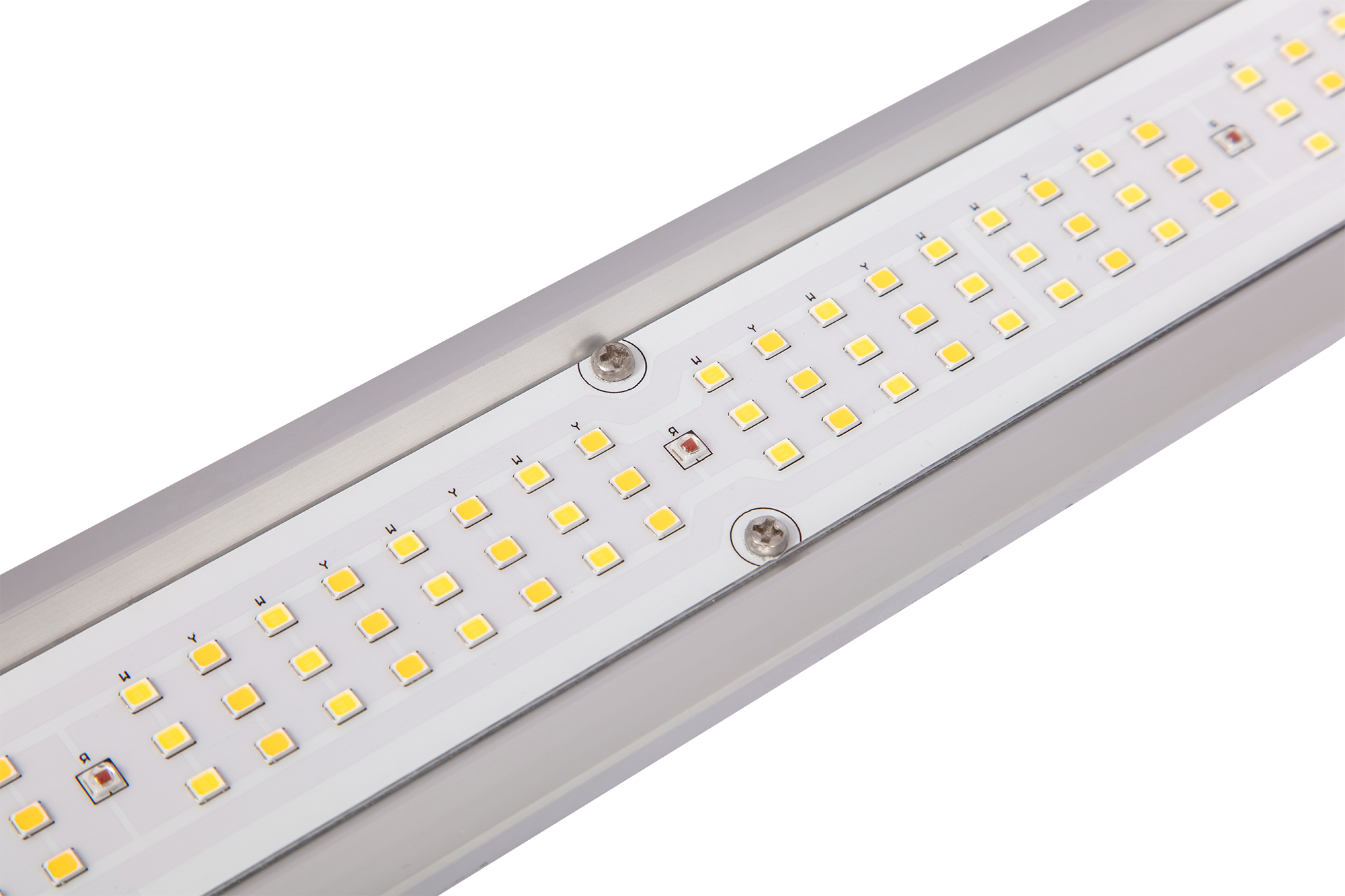 AG-1000