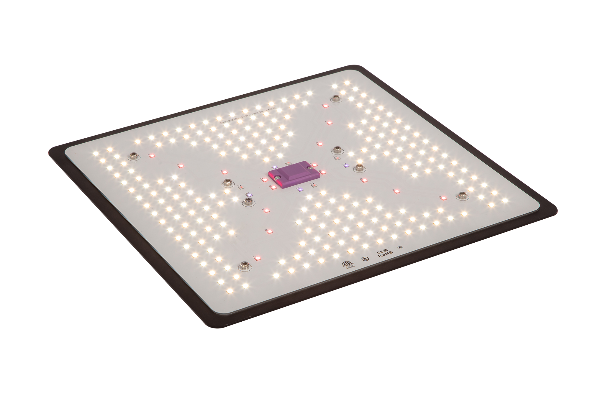 TOPLED-100W-BF