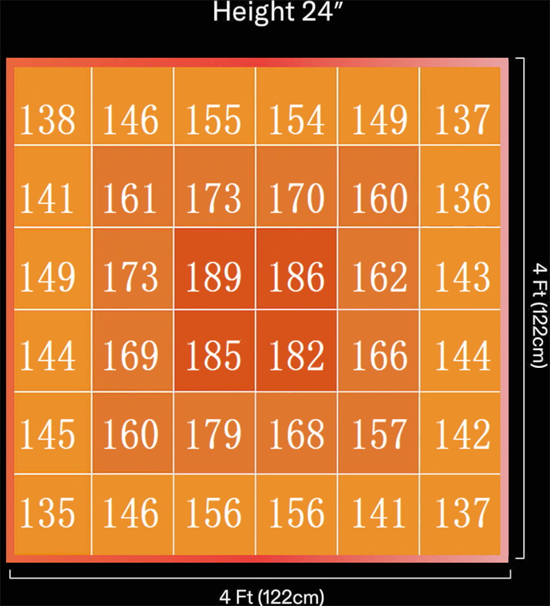 1748485766726753