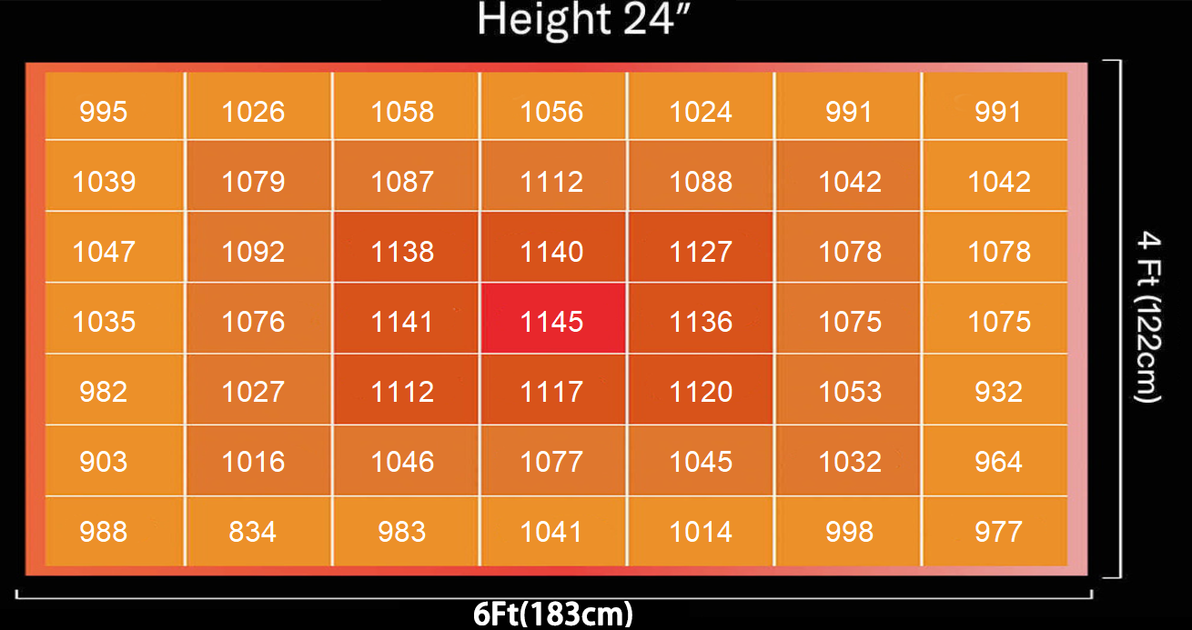 1749637817399377