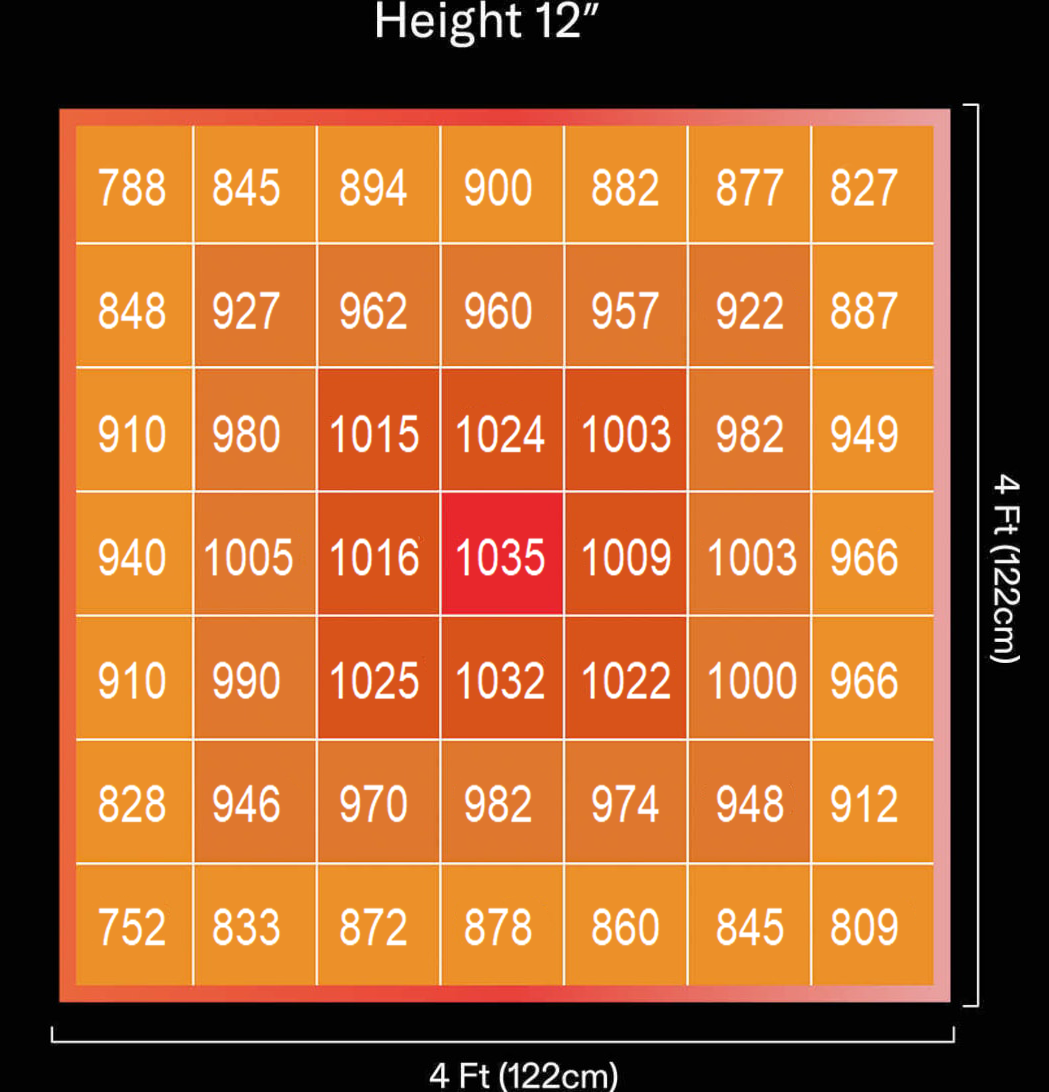 1749639655519905