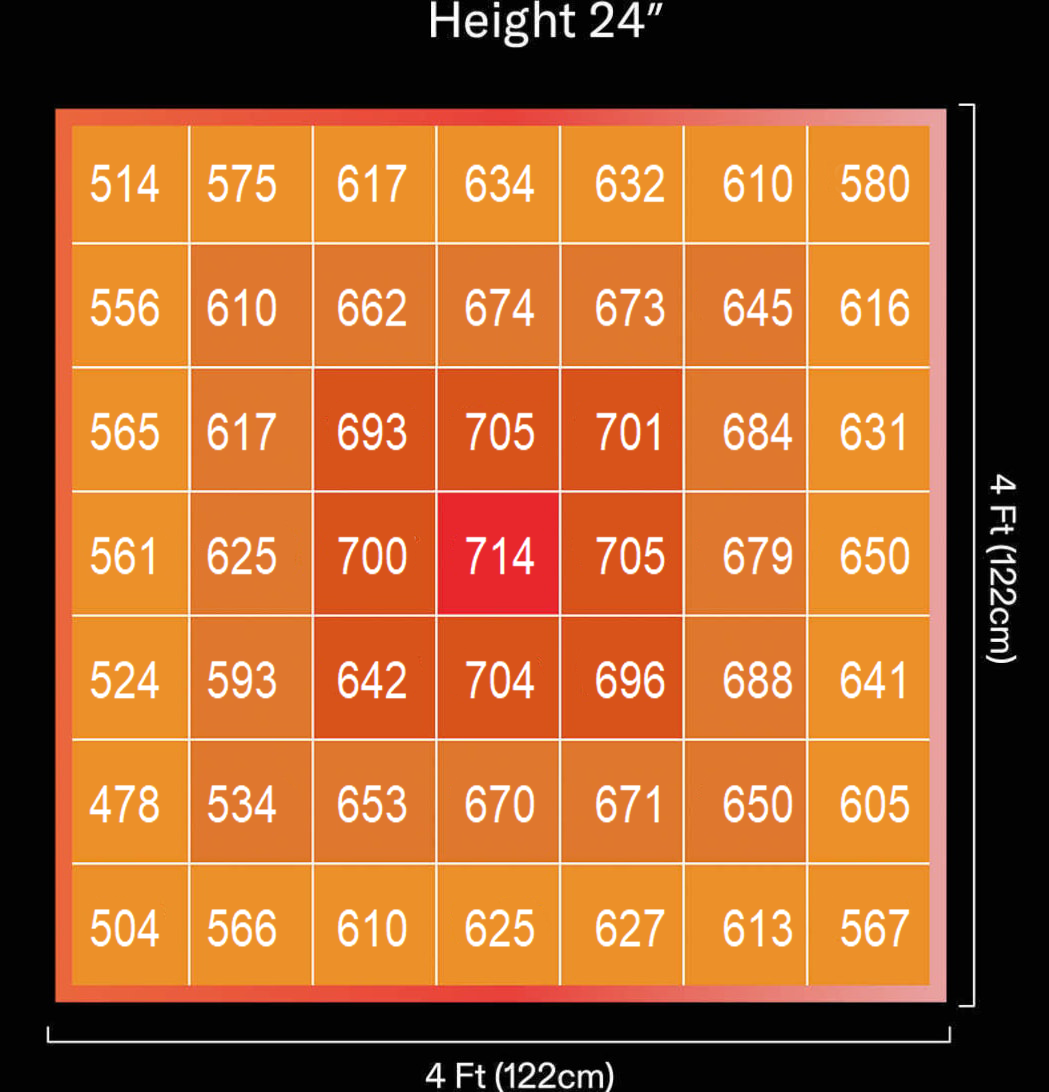 1749639663817166
