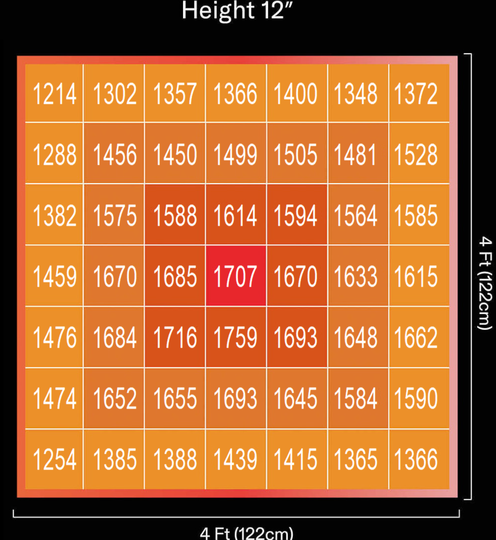 1749694307773787