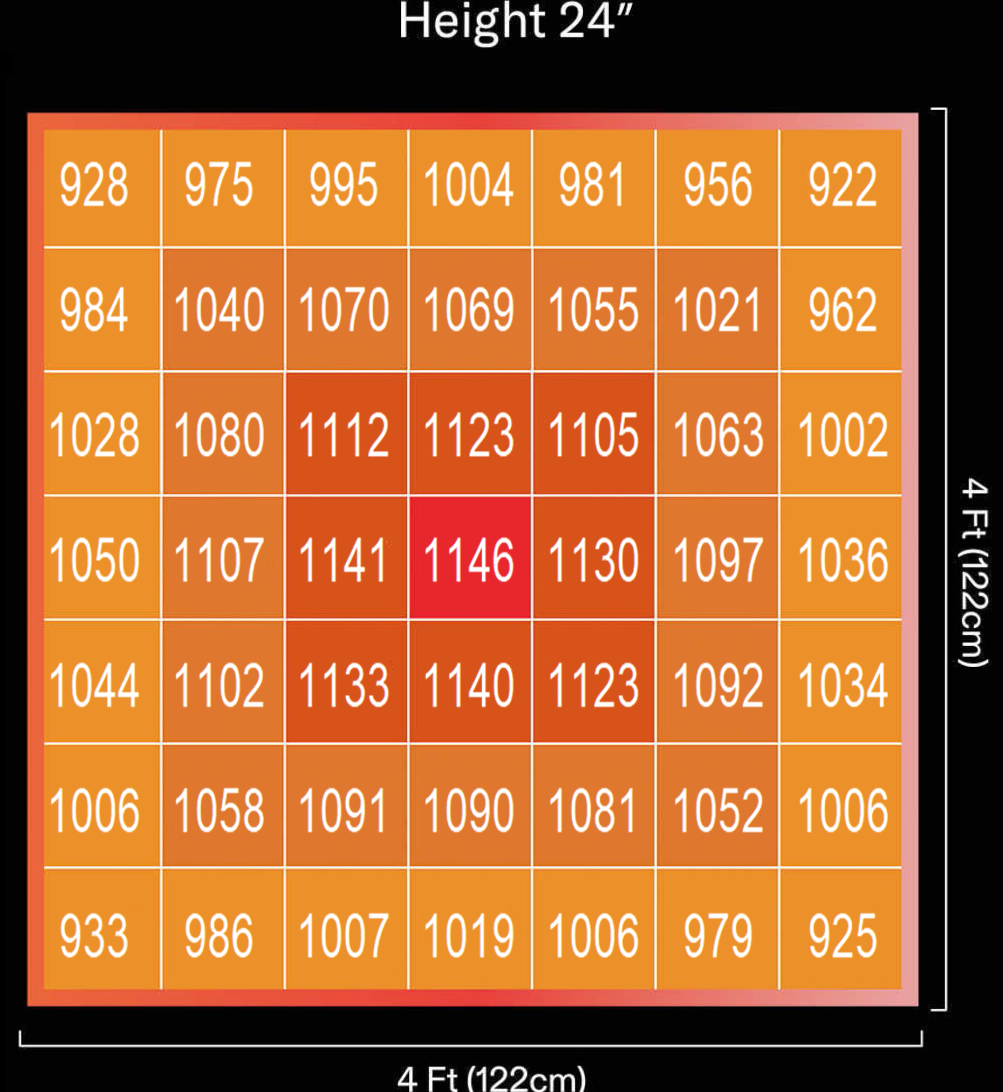 1749694331948081