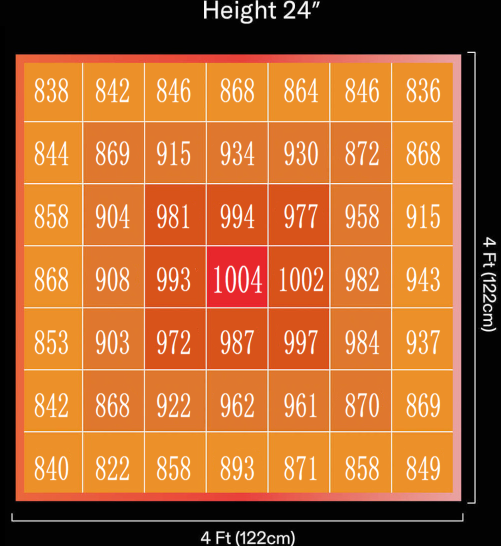 1749694443699019