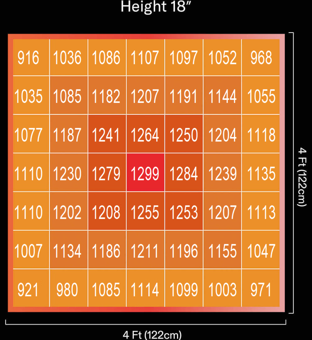1749694986499891