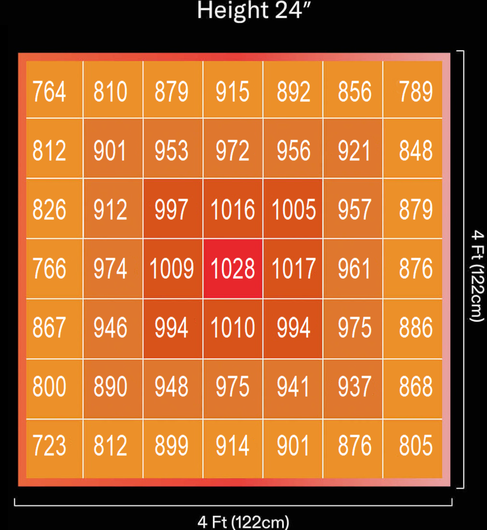 1749695011486204