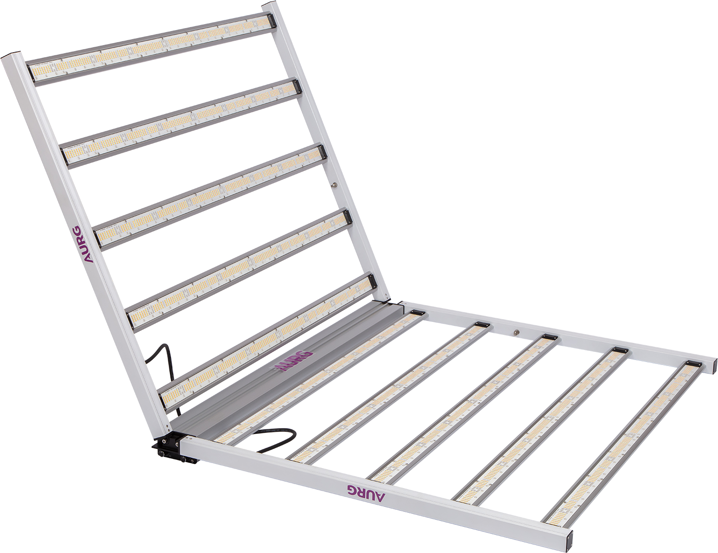 Plant Lighting Plant Lighting