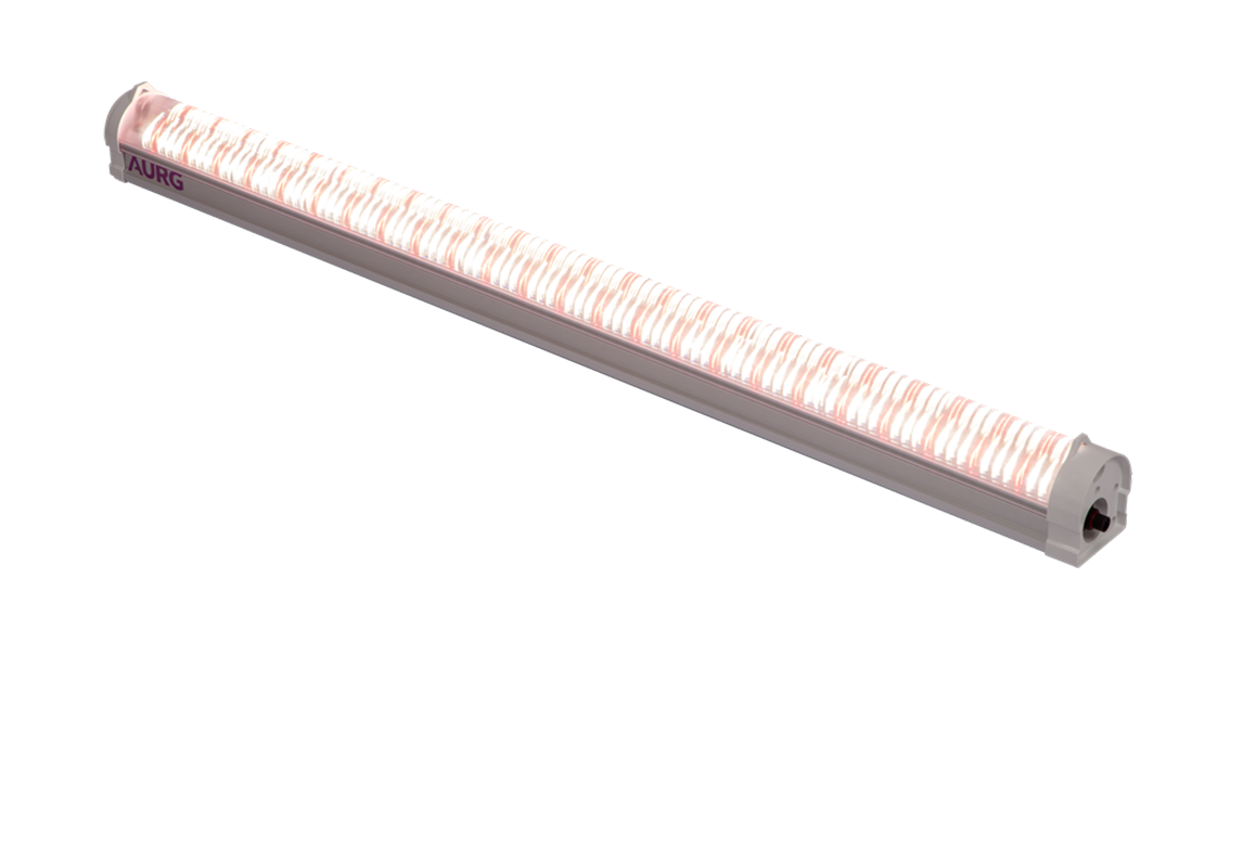 Plant Lighting Plant Lighting